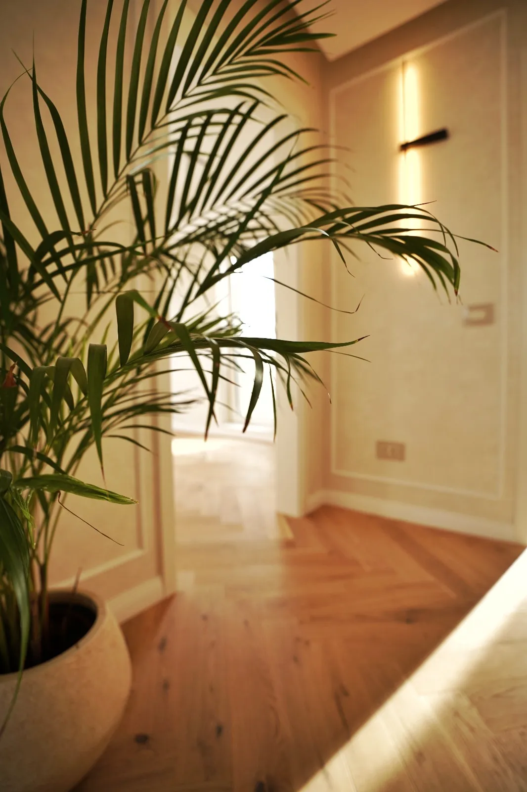 Penthouse Bloc C · Hol